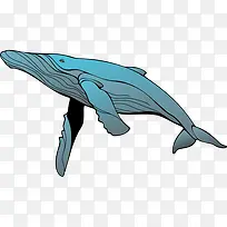 卡通一只蓝色的座头鲸插画生物免