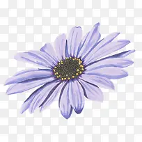 立体紫色菊花
