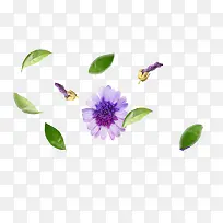 彩绘漂浮的花朵和叶子