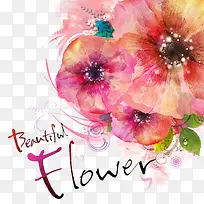 韩国花卉