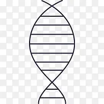 DNA分析