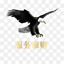 服务准则