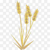 大麦 大米 稻谷 稻穗 粮食