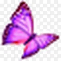 蝴蝶 紫色蝴蝶 飞舞中的蝴蝶