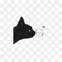 黑色宠物猫咪和蝴蝶
