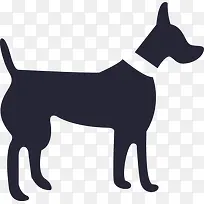 中型犬-on