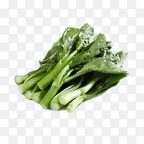 几根新鲜绿色健康广东菜心蔬菜食