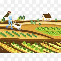 卡通插图农地种植蔬菜