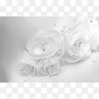婚庆珍珠白纱花朵背景