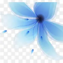蓝色大花朵