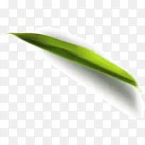 一片茶叶