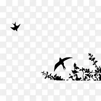 燕子花卉剪影