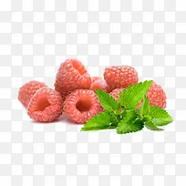一堆野草莓