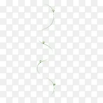 绿枝漂浮