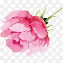水彩粉色玫瑰设计
