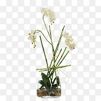 艺术造型 插花花艺