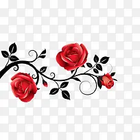 红色玫瑰花朵