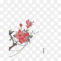 矢量木瓜花