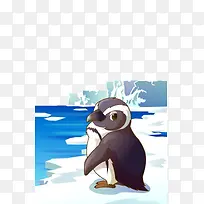 手绘冰块上的 企鹅