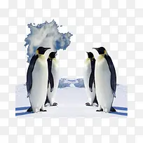 冰川企鹅