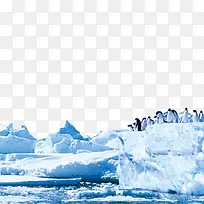 冰山边的企鹅