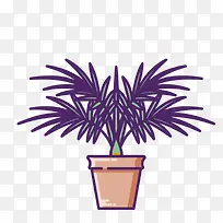 紫色盆栽植物