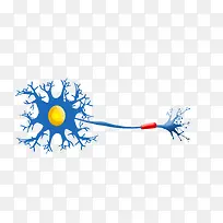 蓝色细胞神经
