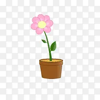 一盆粉色小花