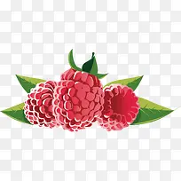 杨莓装饰广告元素