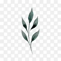 手绘水彩清新树叶素材