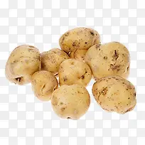 野土豆