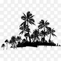 黑色剪影椰子树林