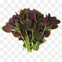 紫色蔬菜