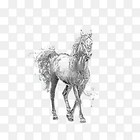 灰白晶状体或水形状的马