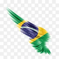 巴西国旗羽毛