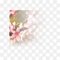 梦幻桃花