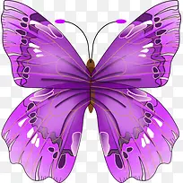 紫色神秘手绘蝴蝶