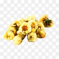 杭白菊花苞图片素材
