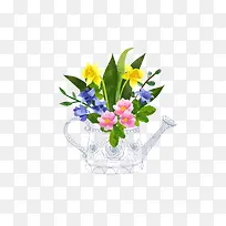 水瓶花朵