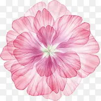 淡粉色花卉矢量图