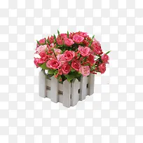 玫瑰花