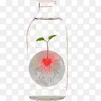 花瓶绿植素材