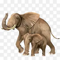 手绘大象母子俩