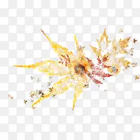 枫叶免抠素材