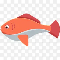 海洋生物呆萌的小鱼