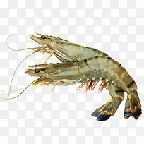 海鲜活大虾