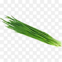 绿色蔬菜手绘韭菜