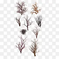 树木植物景观装饰图案