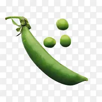 四季豆蔬菜