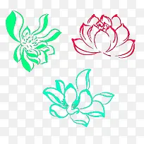 三种荧光色莲花